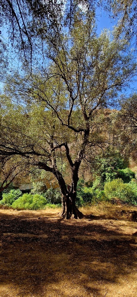 20220920_112913_resized