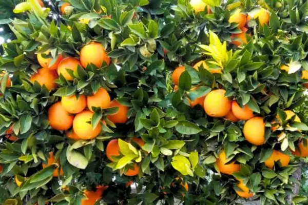 Een reis waarin natuur, cultuur en gezelligheid samenkomen. 